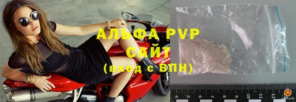 бошки Белокуриха
