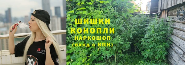 бошки Белокуриха