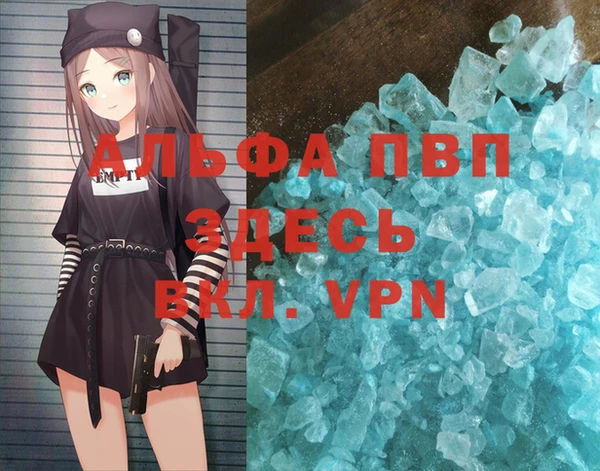 бошки Белокуриха