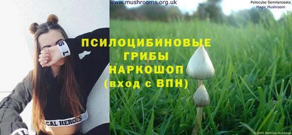 бошки Белокуриха