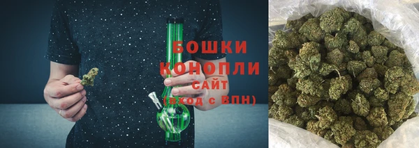 бошки Белокуриха